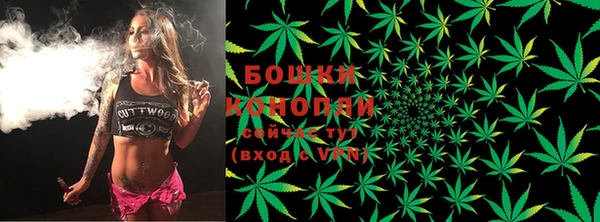 ECSTASY Балахна