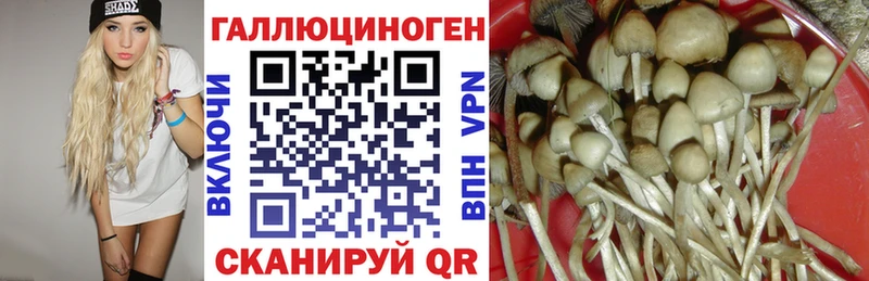 мориарти телеграм Томари Псилоцибиновые грибы мухоморы где можно купить наркотик